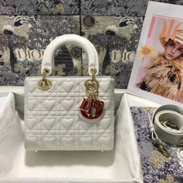 LADY DIOR  20cm×16.5cm×8cm 限定品❗️