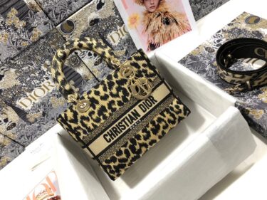 LADY DIOR  24cm×20cm×11cm