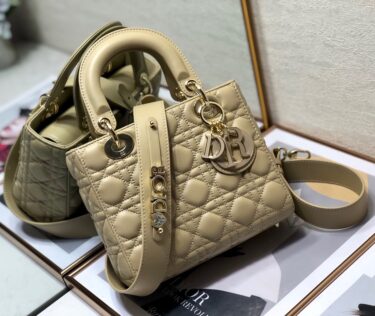 DIOR Lady D-lite 売れてます❗️20cm×17cm