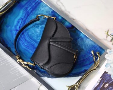 DIOR Saddle Bag
