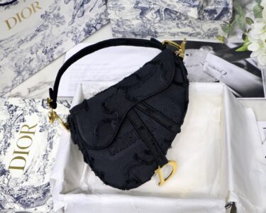 DIOR Saddle Bag