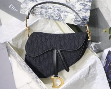DIOR Saddle Bag