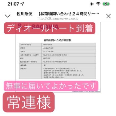 2022年9月常連のお客様がディオールトートバッグを2点購入していただきました。20日前後でとどきました。いつもありがとうございます。